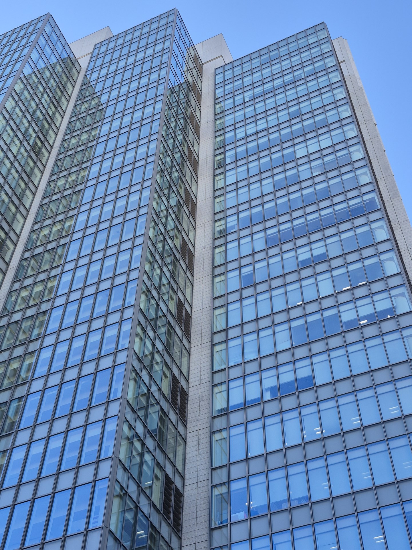 広角カメラ（×2）